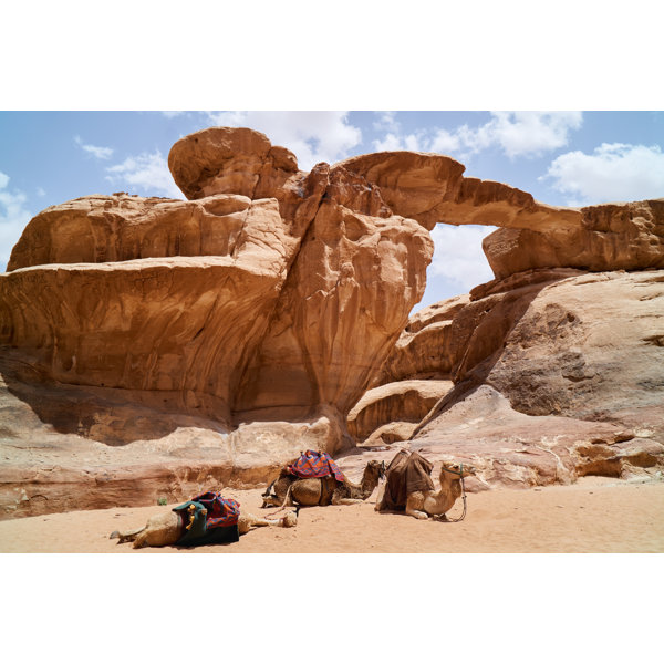 Union Rustic Camels Decorated by Wrapped Canvas Photograph Wayfair